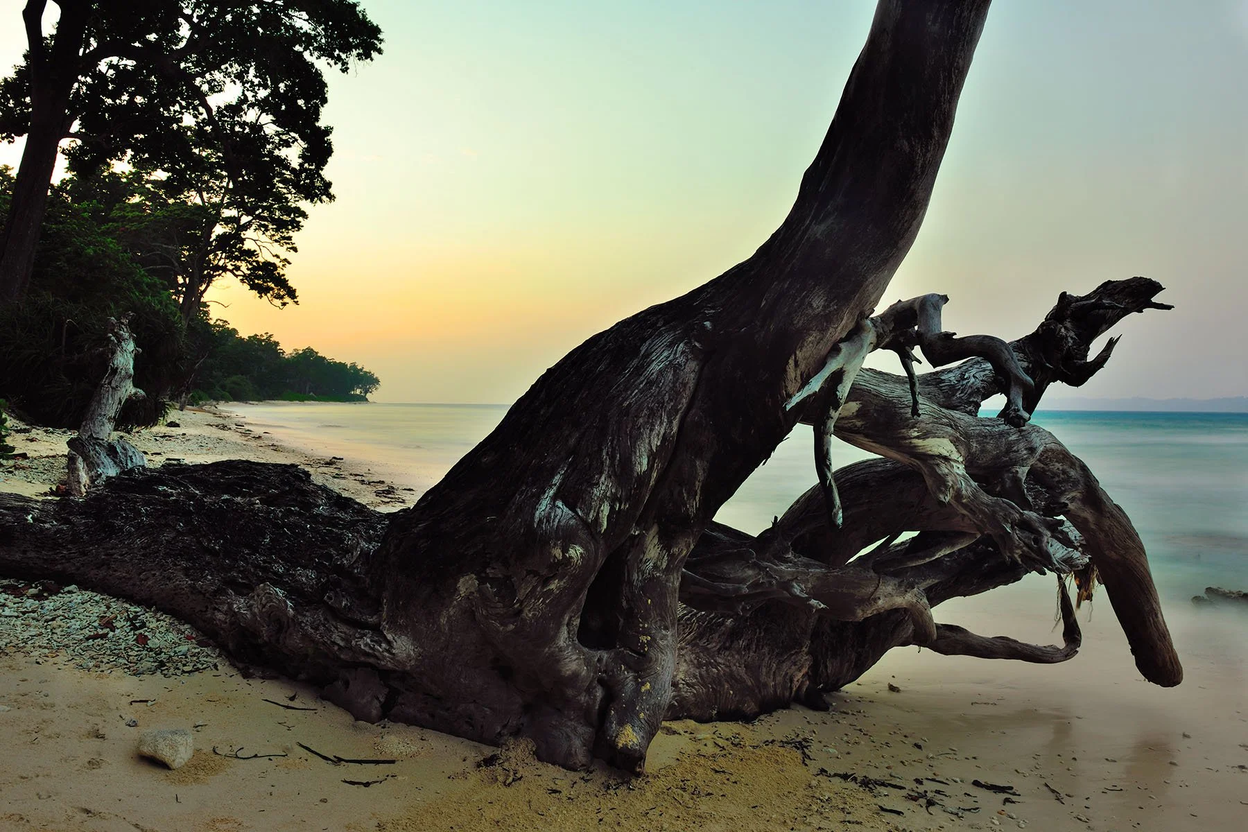 Vikas Dutt Photography Andaman-0009a.jpg