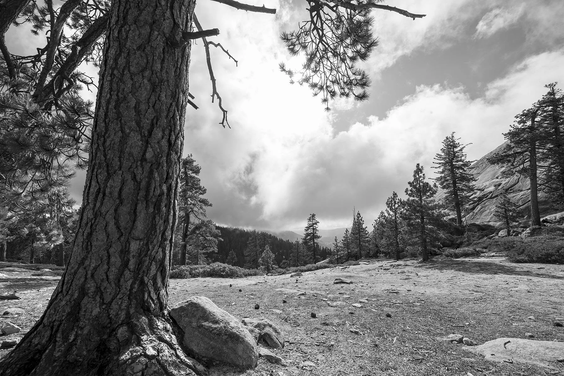 Vikas Dutt Photography Yosemite Tourism 052.jpg