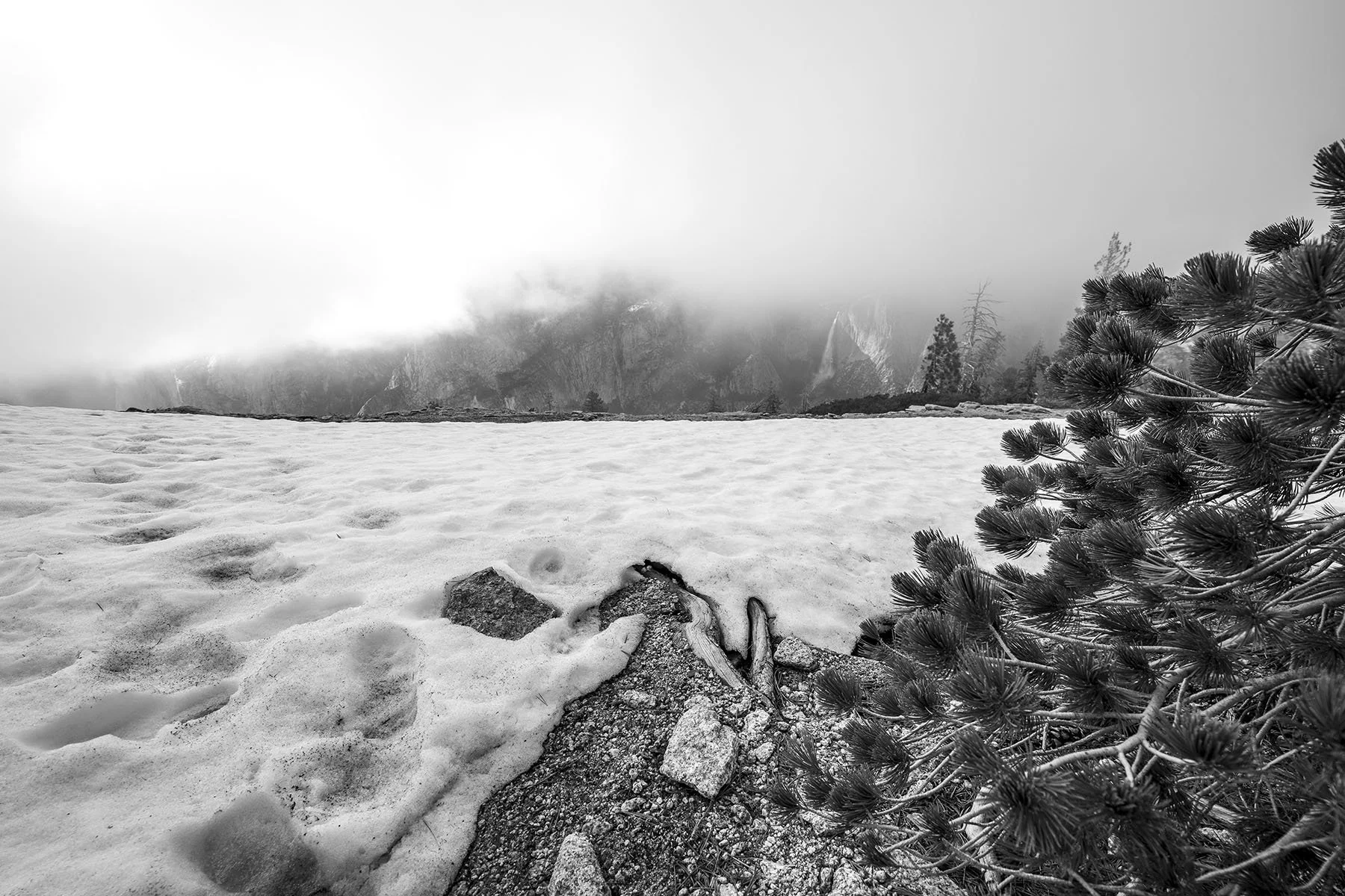 Vikas Dutt Photography Yosemite Tourism 98.jpg