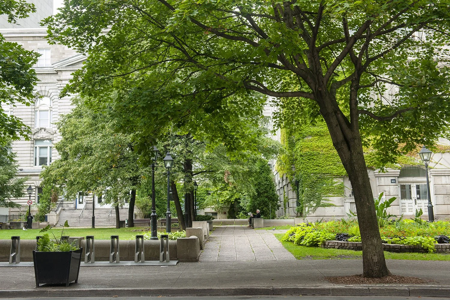 Vikas Dutt Photography Montreal Street 11.jpg
