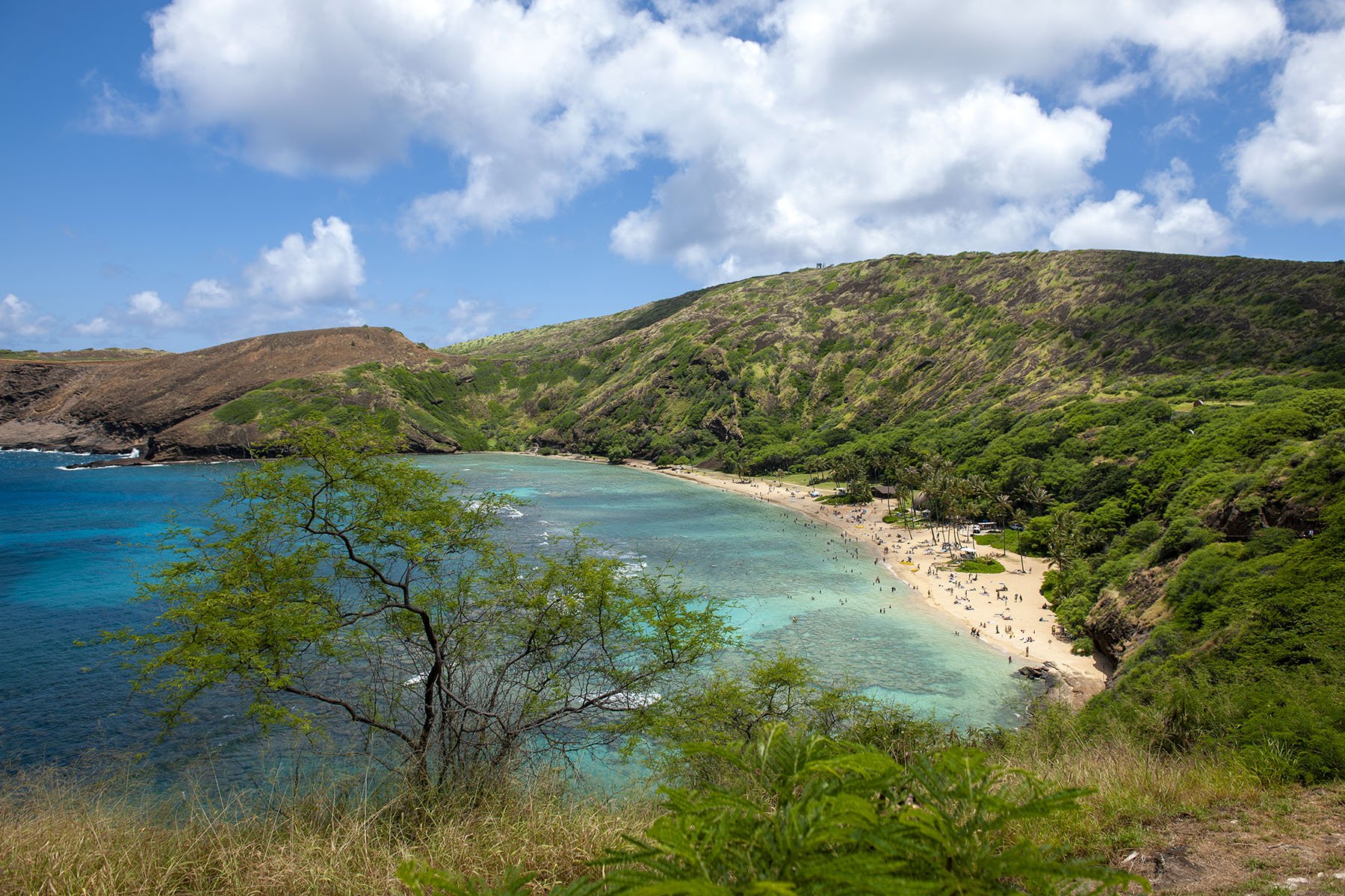 Vikas Dutt Photography Hawai Tourism 98.jpg