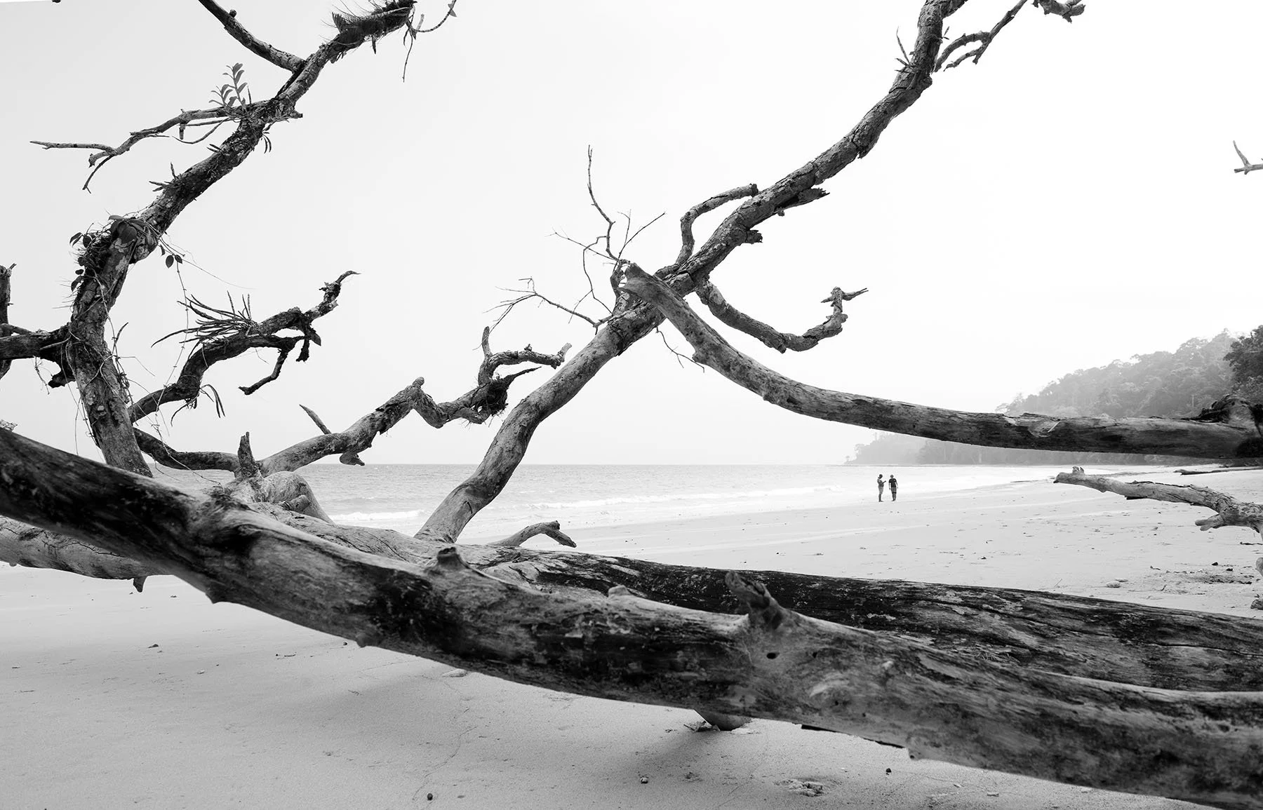 Vikas Dutt Photography Andaman Tourism 122.jpg