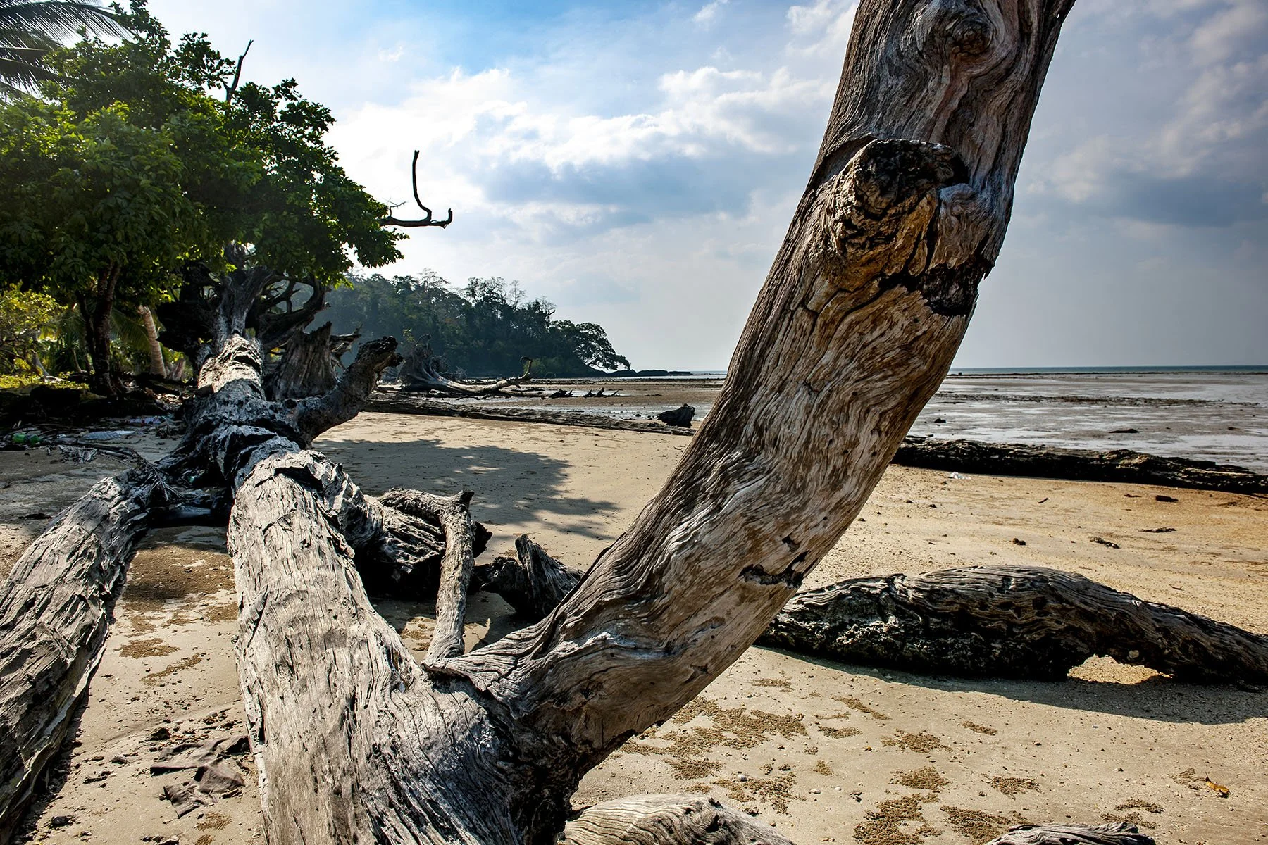 Vikas Dutt Photography Andaman Tourism 100.jpg