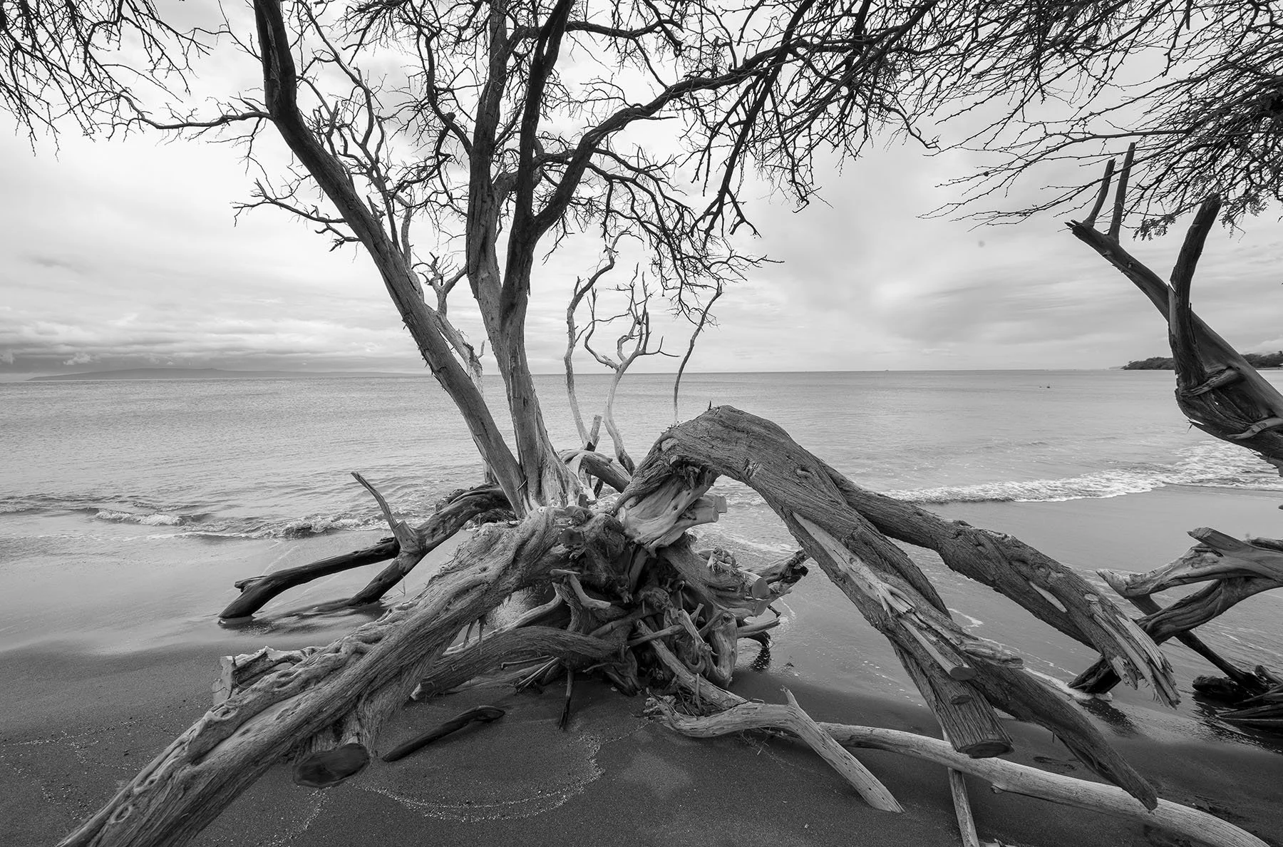 Vikas Dutt Photography hawai Tourism 134.jpg