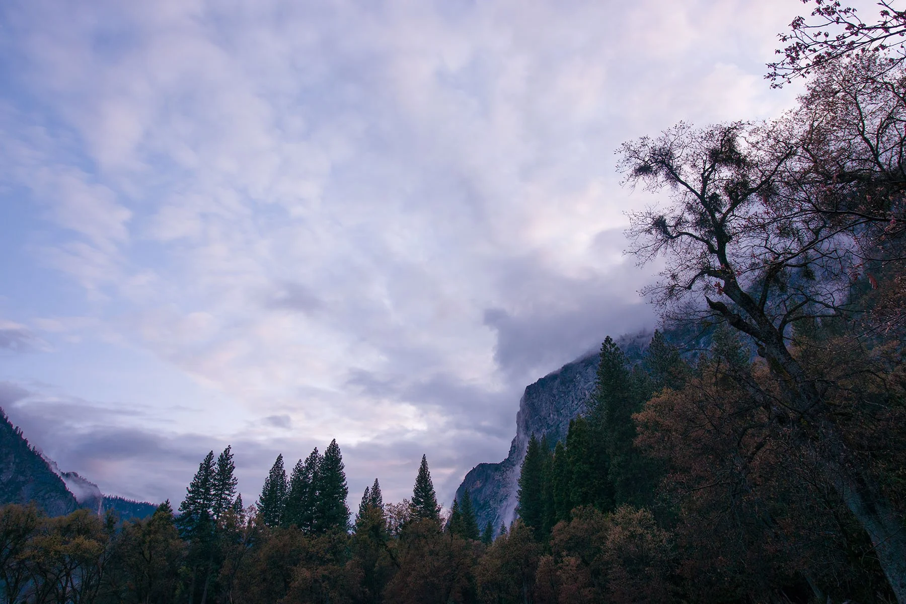 Yosemite National Park