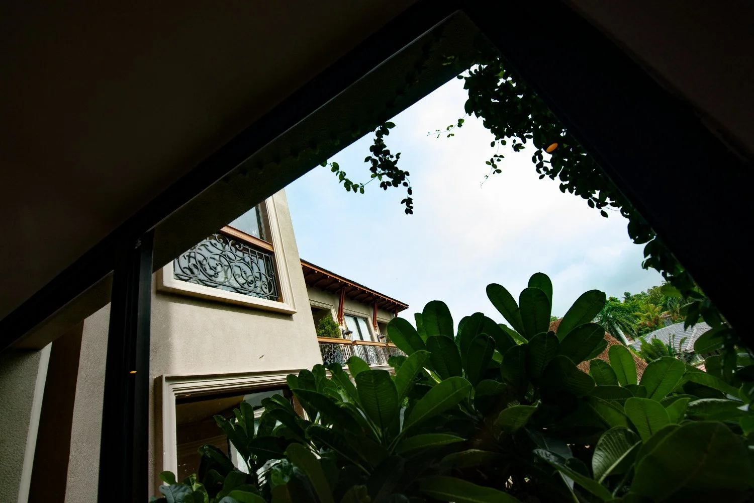 D3X_2096.JPG