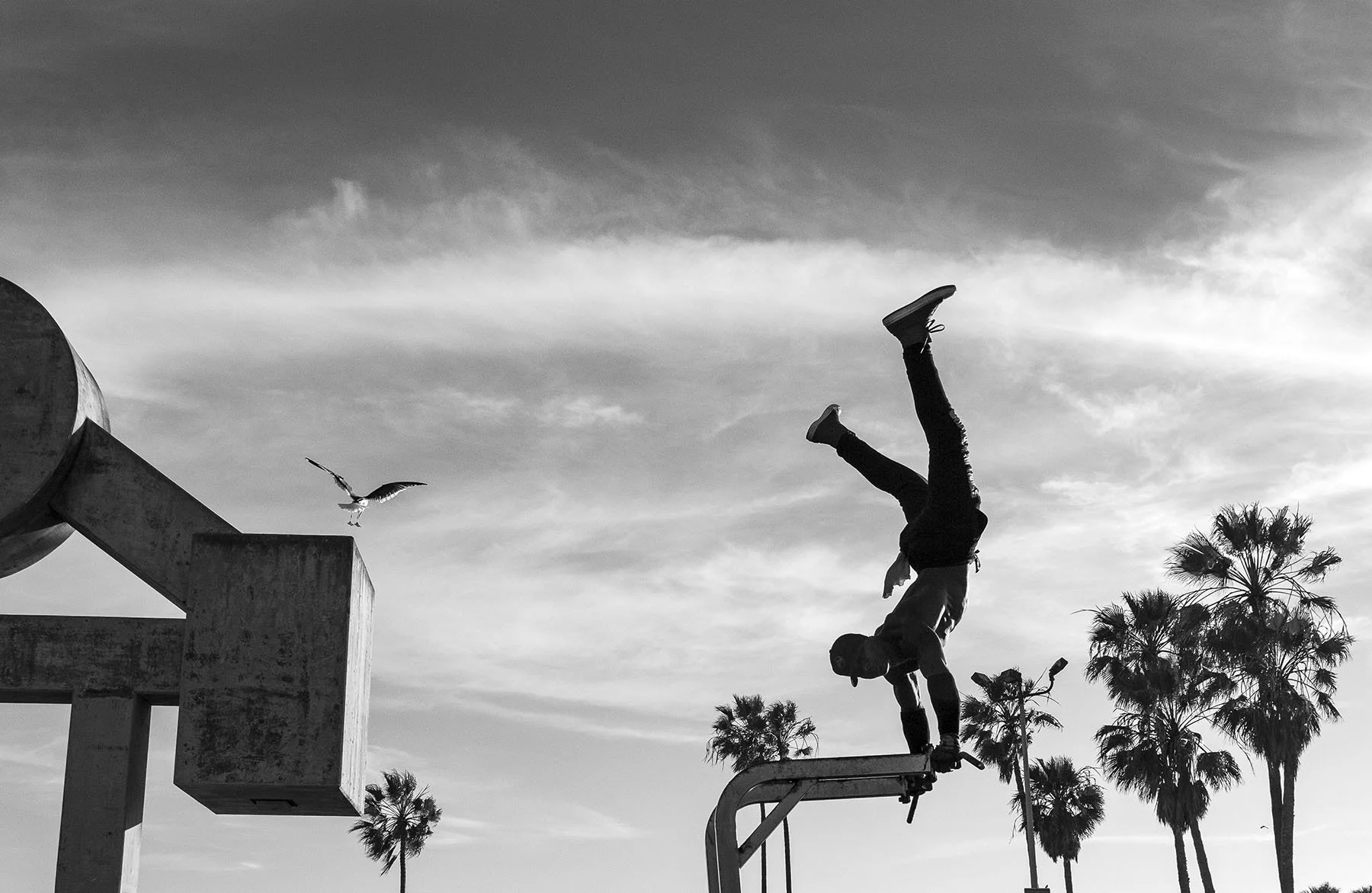 Vikas Dutt Photography Santa Monica 34.jpg