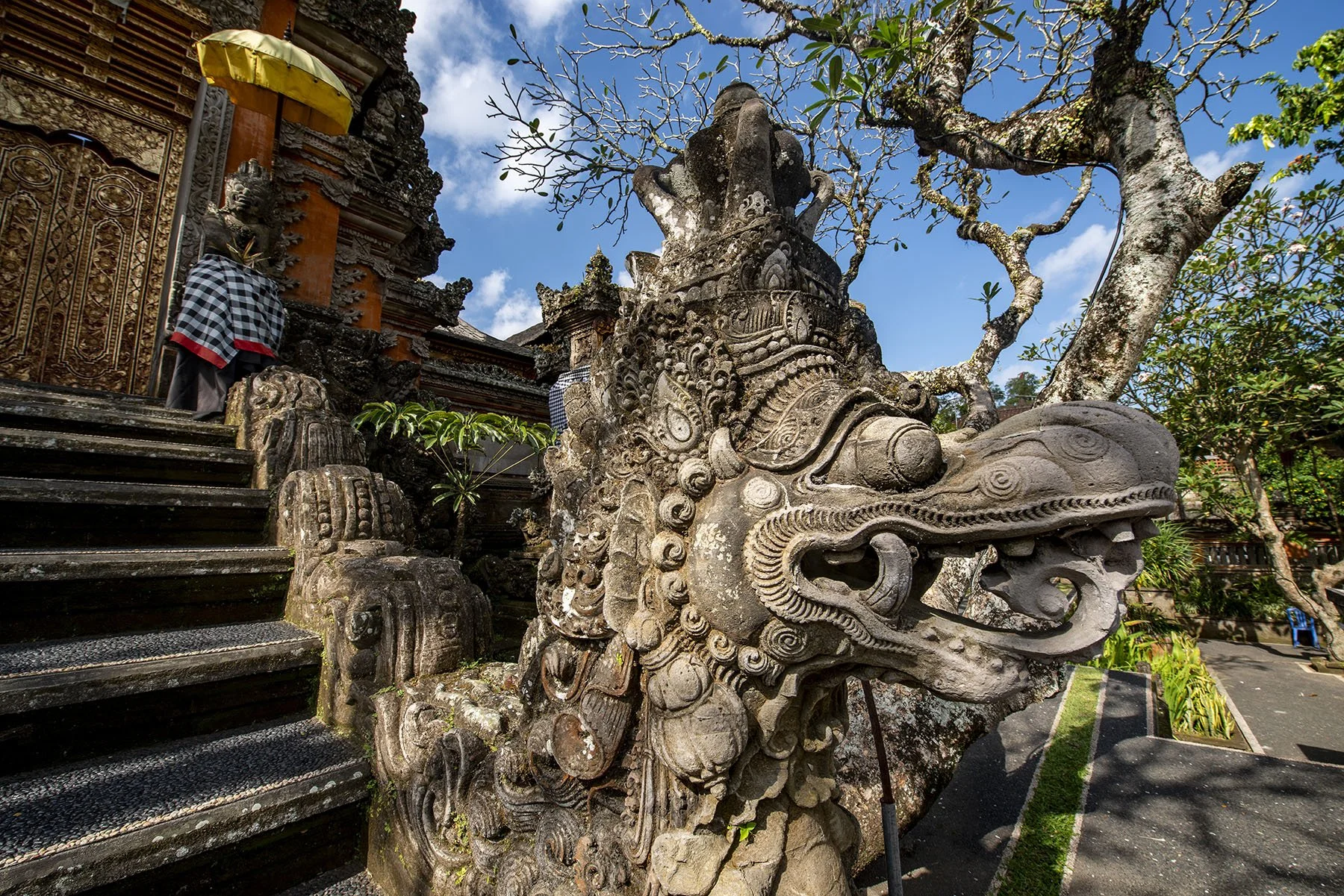 Vikas Dutt Photography Bali Tourism 0056.jpg