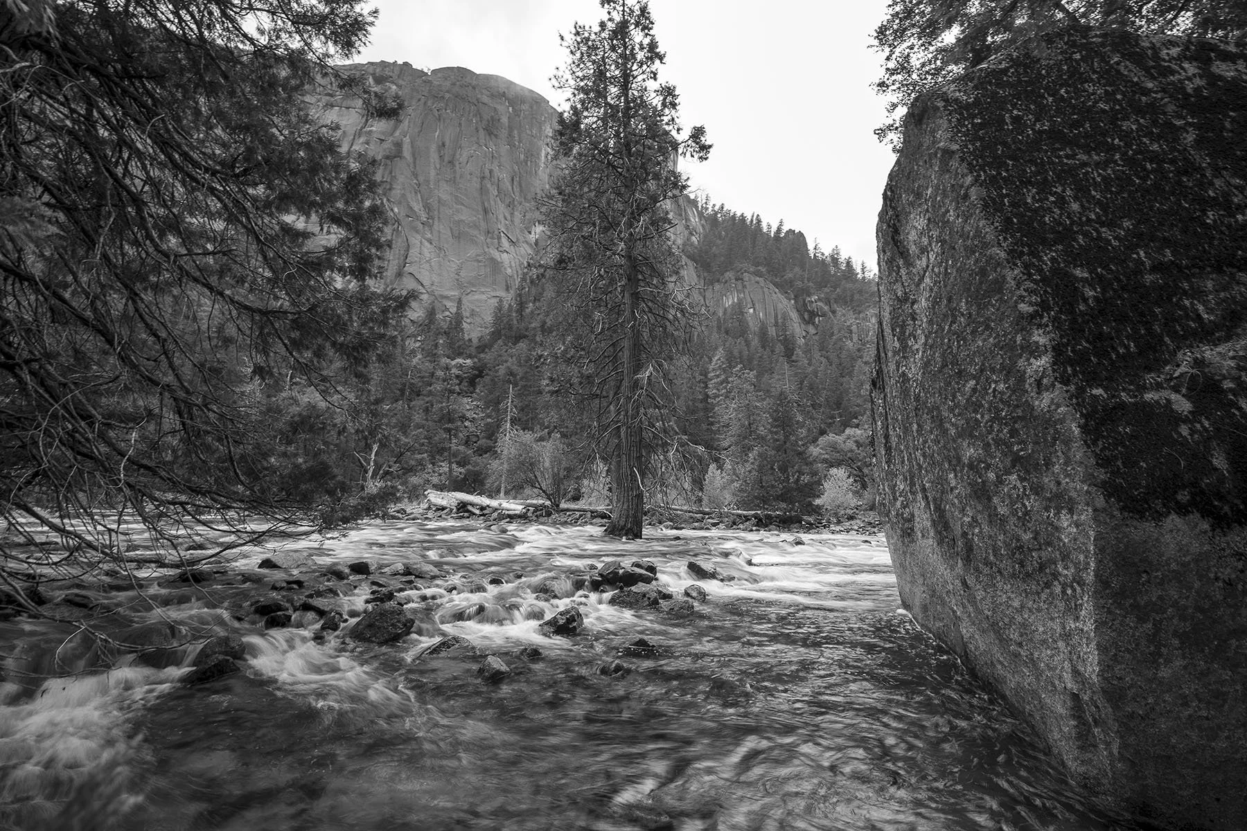 Vikas Dutt Photography Yosemite Tourism 097.jpg