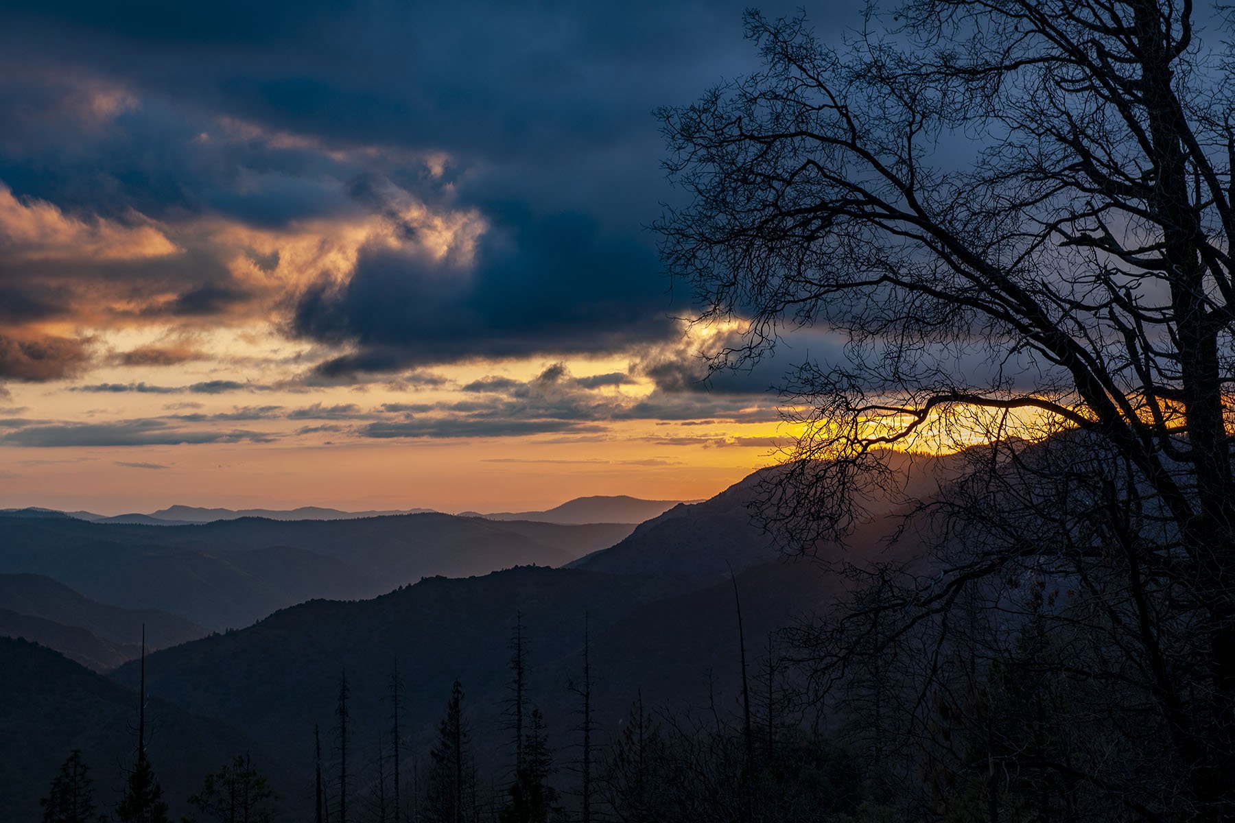 Vikas Dutt Photography Yosemite Tourism 116.jpg