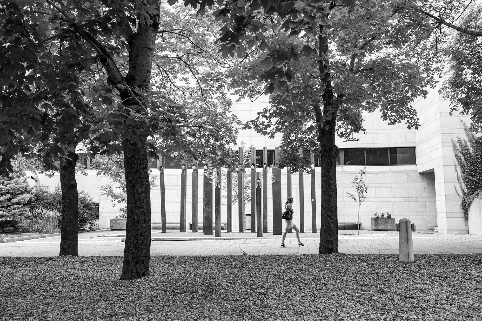 Vikas Dutt Photography Montreal Street 1.jpg