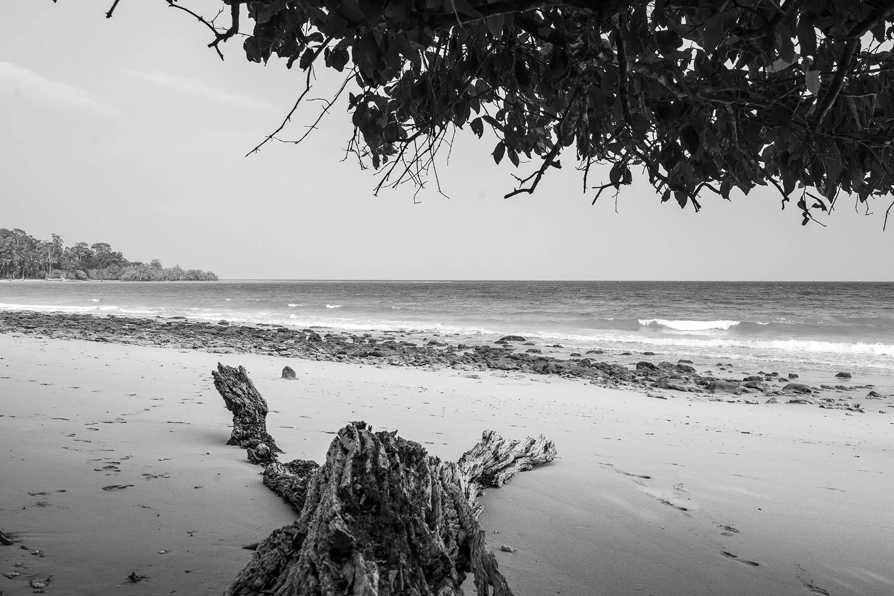 Vikas Dutt Photography Andaman Tourism 107.jpg