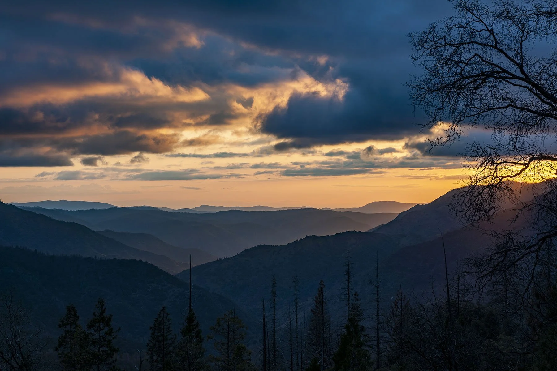 Vikas Dutt Photography Yosemite Tourism 077.jpg