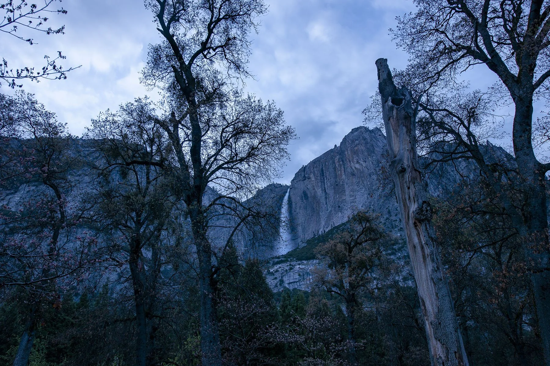 Vikas Dutt Photography Yosemite Tourism 101.jpg