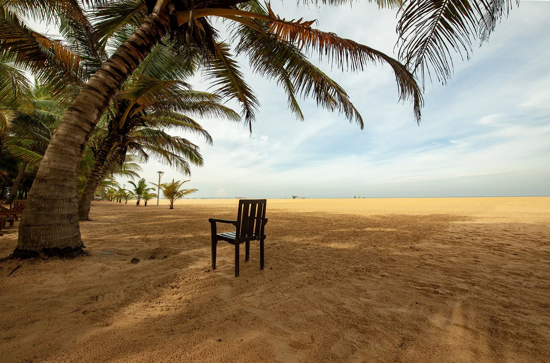 Chair 2 Vikas Dutt.jpg