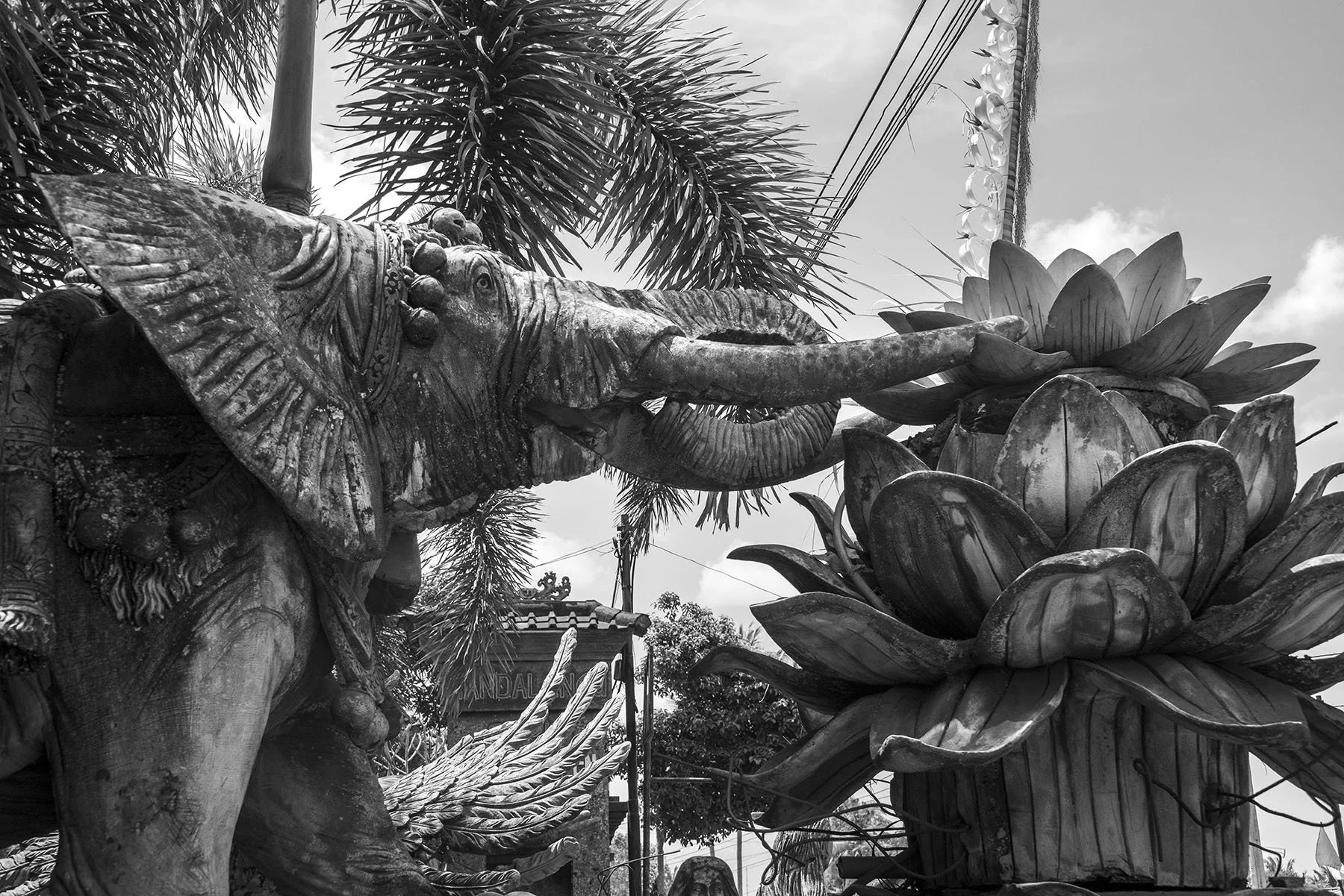 Vikas Dutt Photography Bali Tourism 0115.jpg
