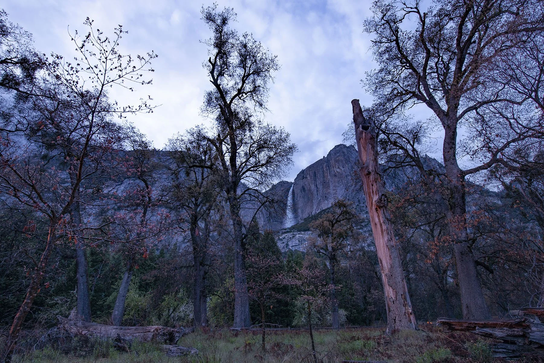 Vikas Dutt Photography Yosemite Tourism 056.jpg