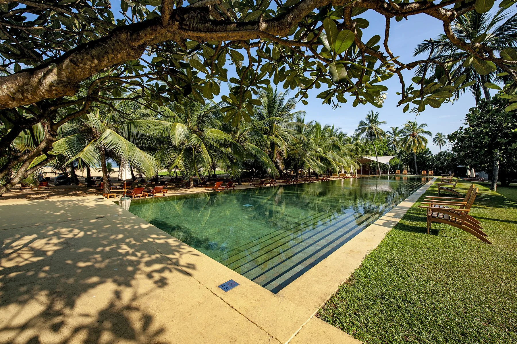 Vikas Dutt Photography SRILANKA TOURISM 018.JPG