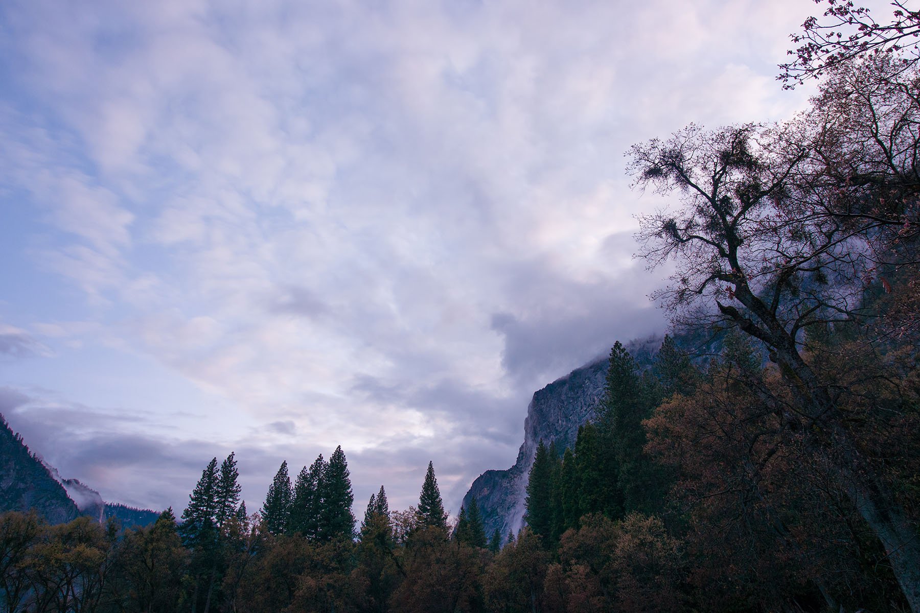 Vikas Dutt Photography Yosemite National Park 001.jpg