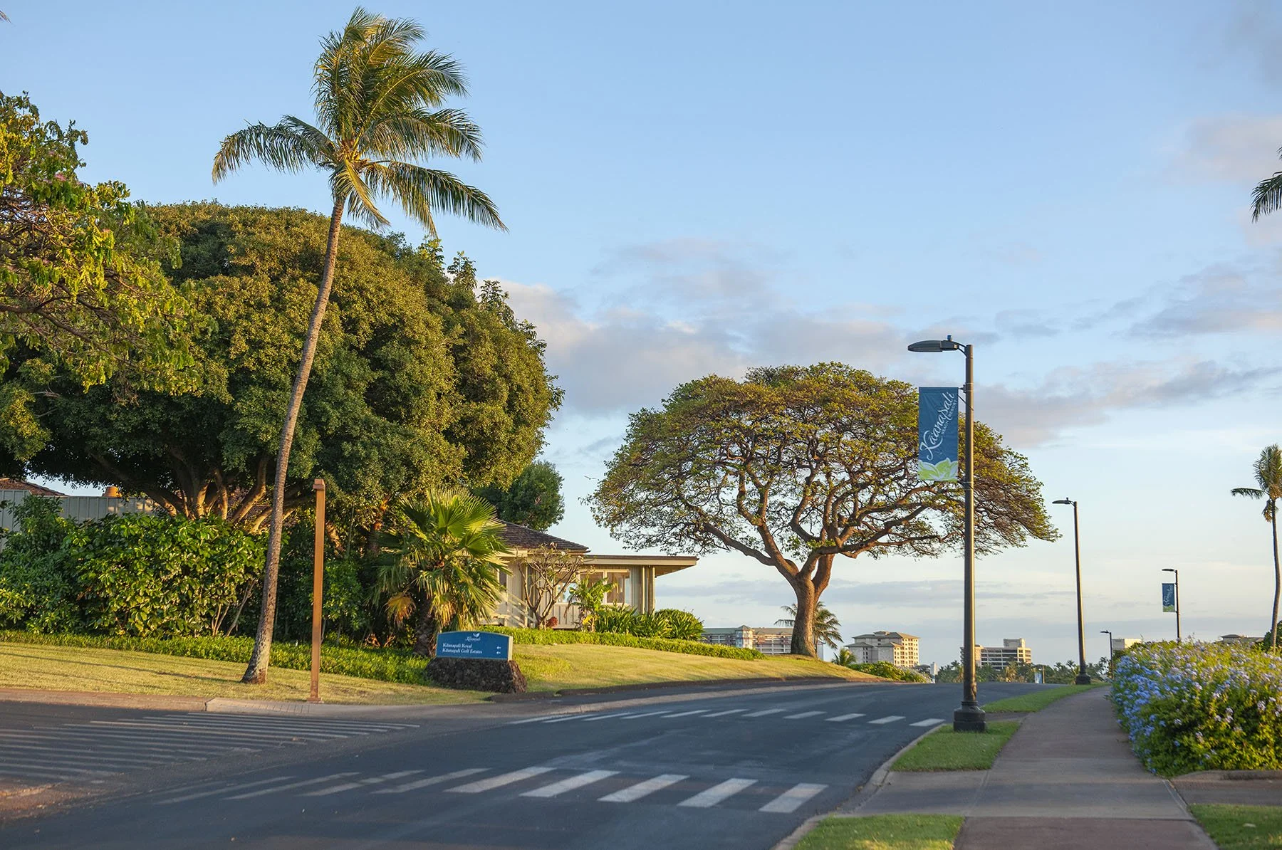 Vikas Dutt Photography Hawai Tourism 102.jpg