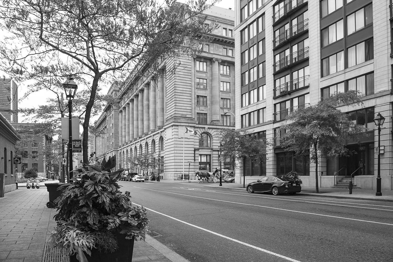 Vikas Dutt Photography Montreal Street 27.jpg