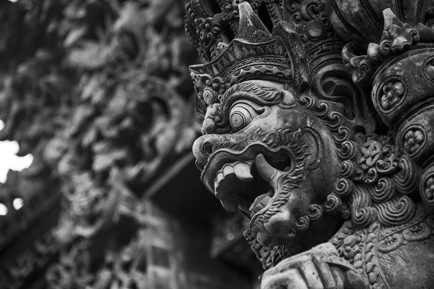 Vikas Dutt Photography Bali Tourism 0016.jpg