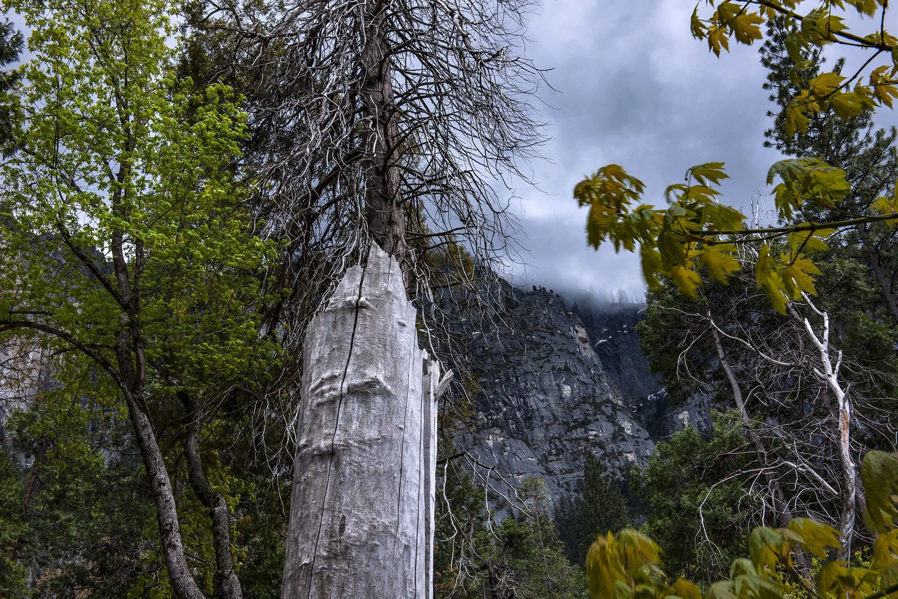 Vikas Dutt Photography Yosemite Tourism 055.jpg