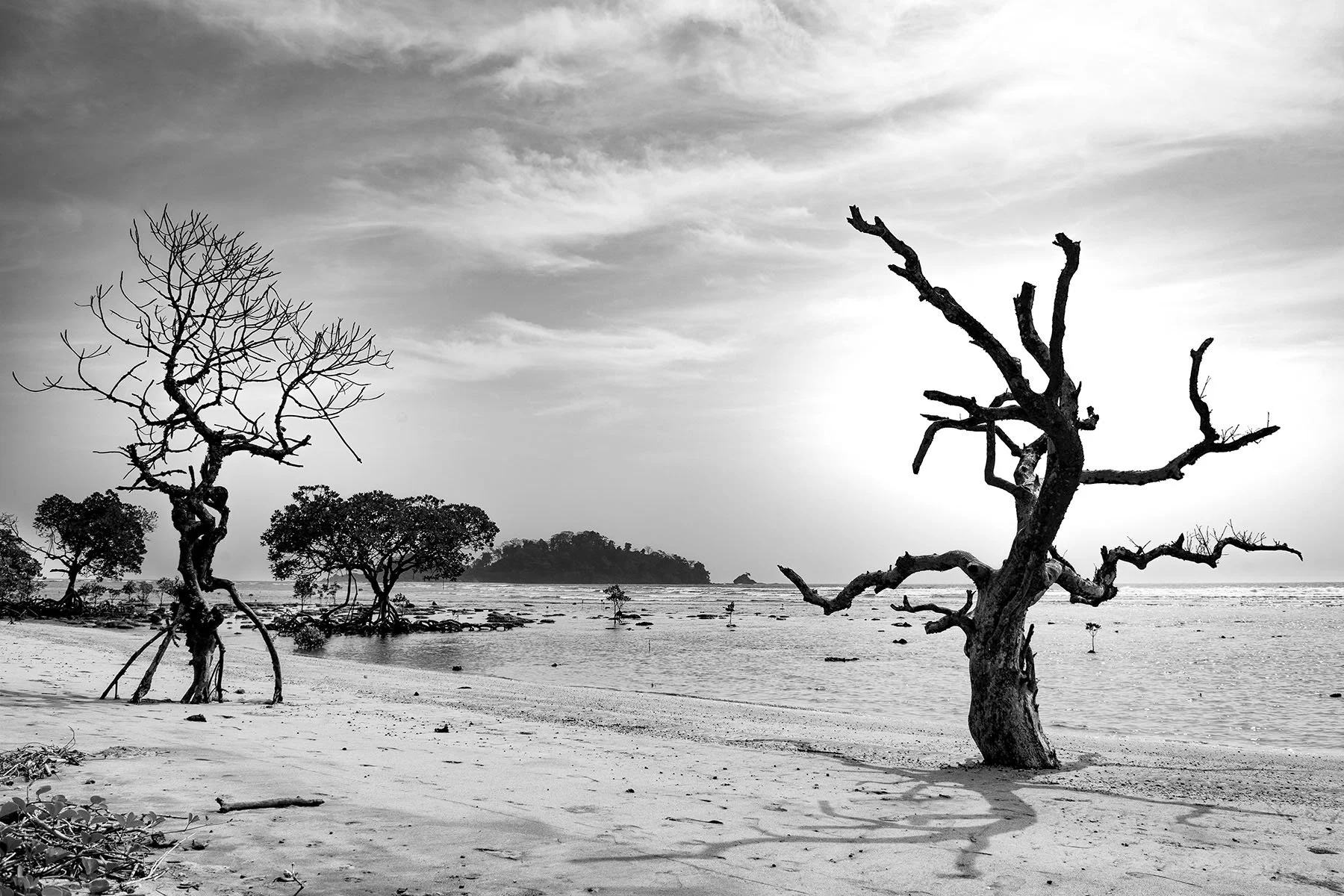 Vikas Dutt Photography Andaman Tourism 110.jpg