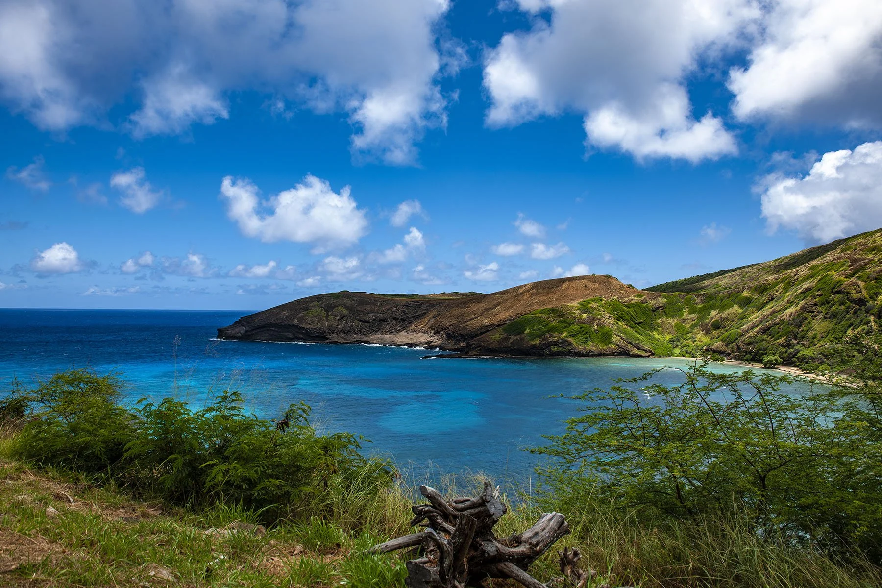 Vikas Dutt Photography HAWAI 100.jpg
