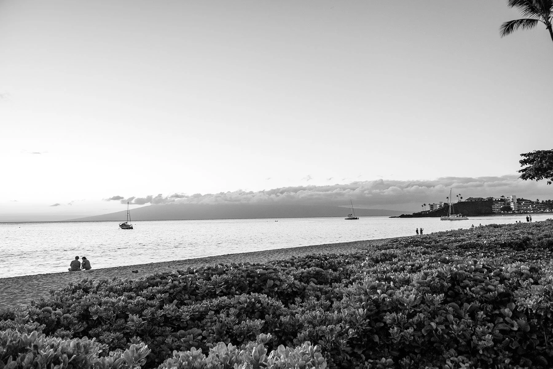 Vikas Dutt Photography Hawai Tourism 139.jpg