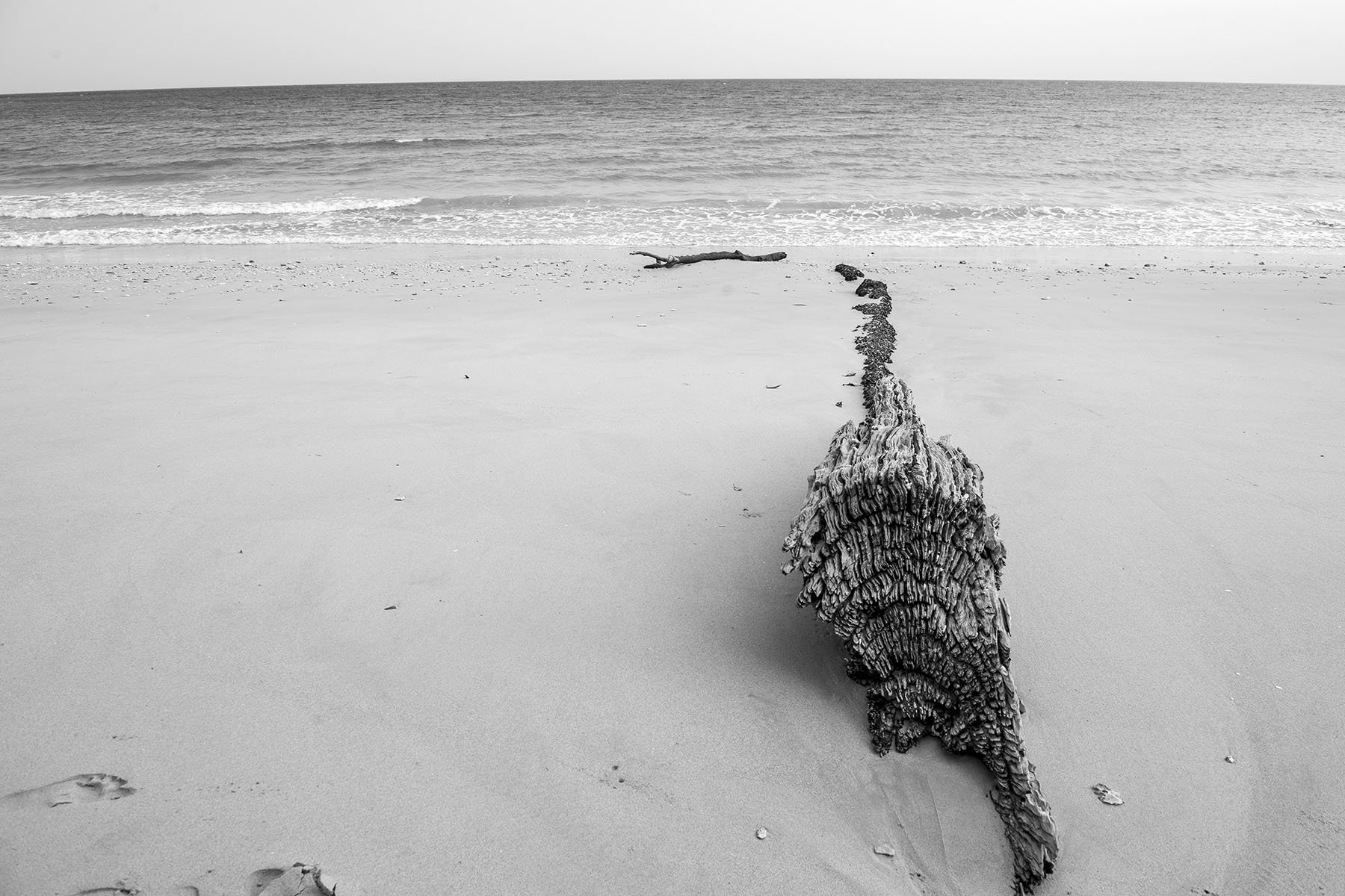 Vikas Dutt Photography Andaman Tourism 141.jpg