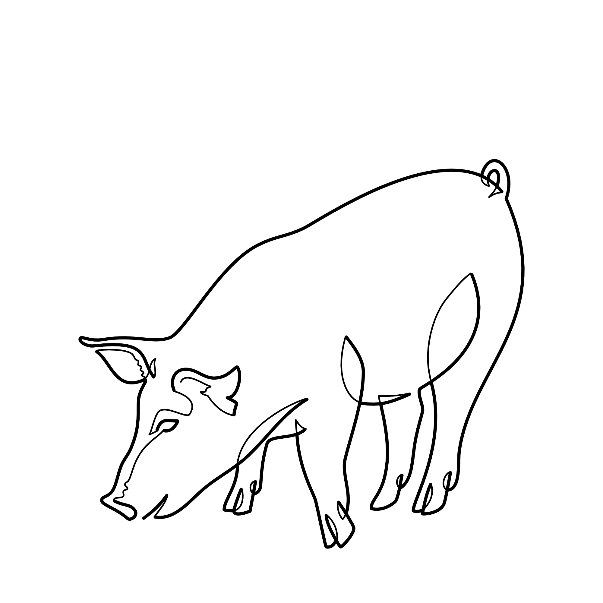 pig.png
