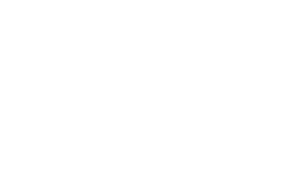 PATRICK MATHIEU