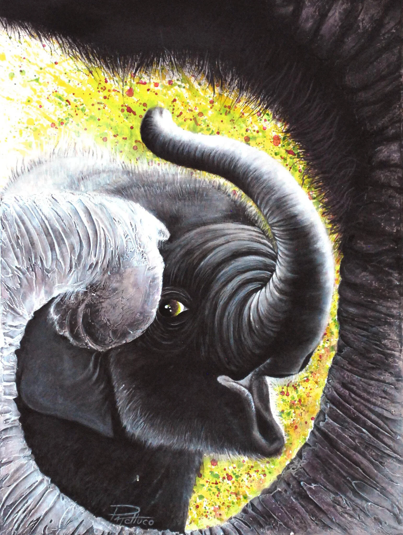 Innocence.jpg