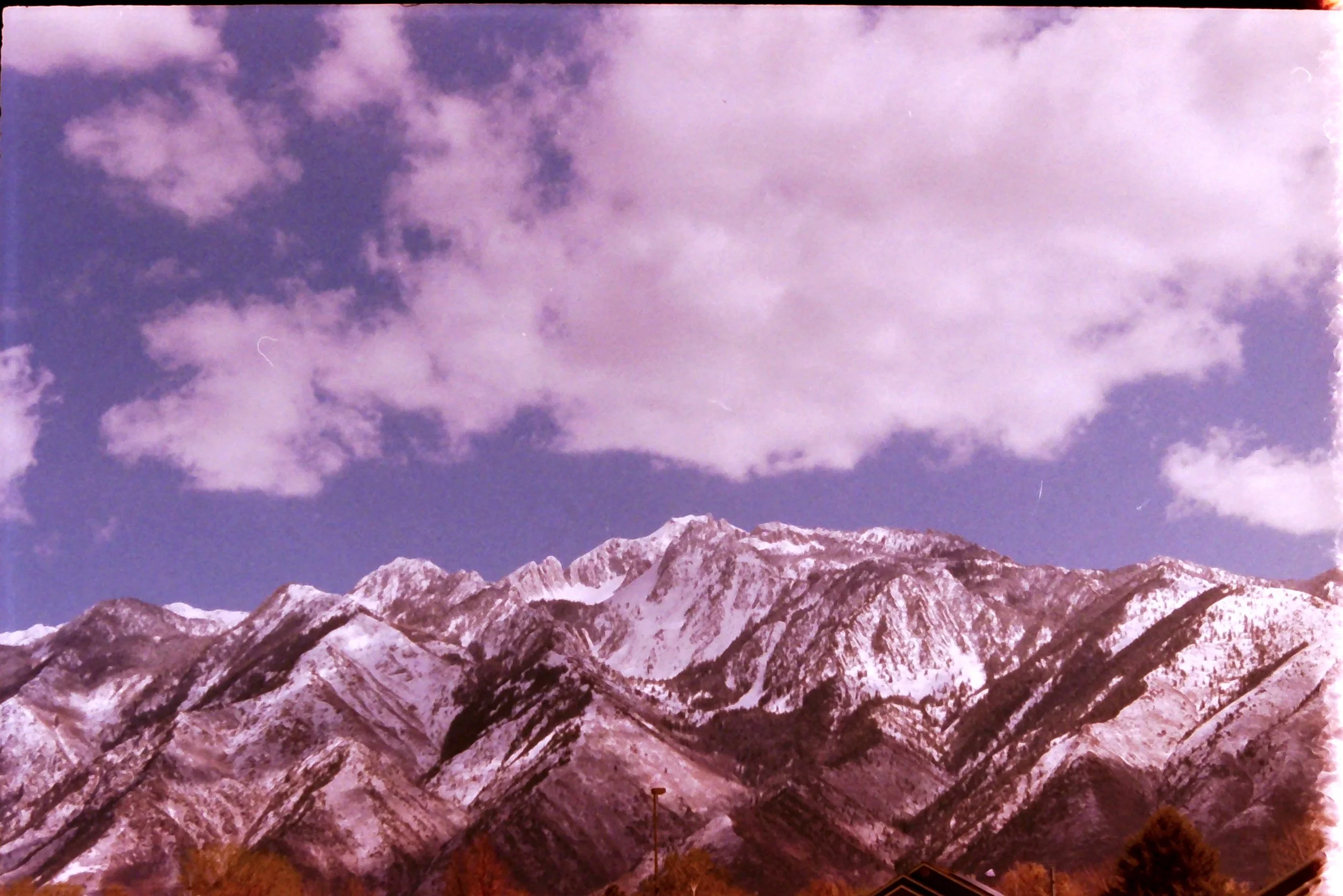 IMG00013.jpg
