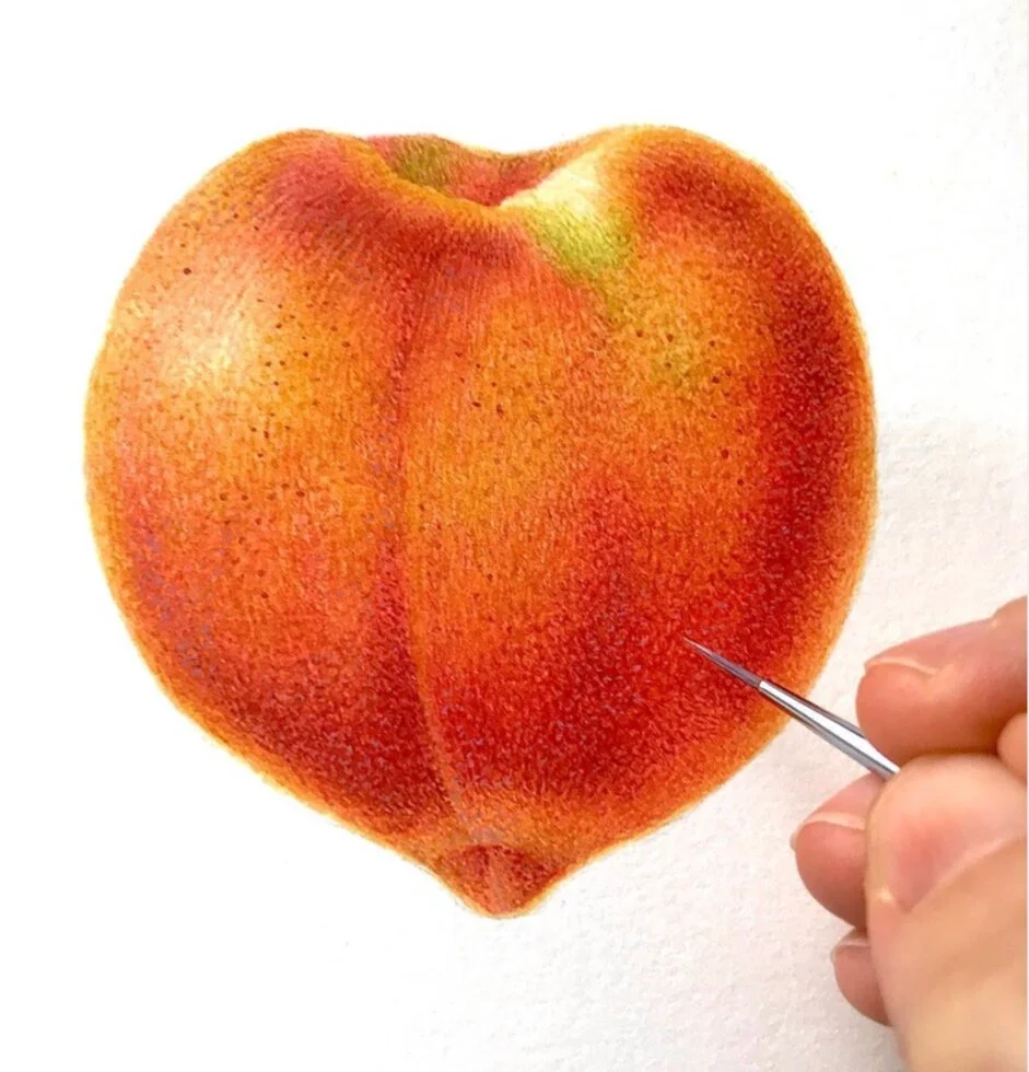 NESBA WORKSHOP: Carrie DiCostanzo - Peaches in Dry Brush Watercolor