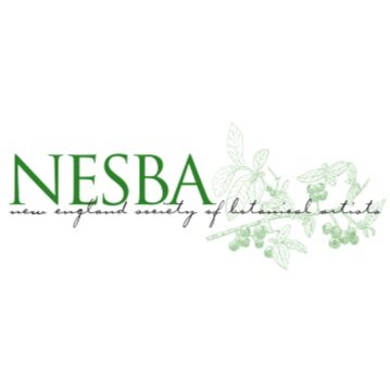 Annual Member Meeting