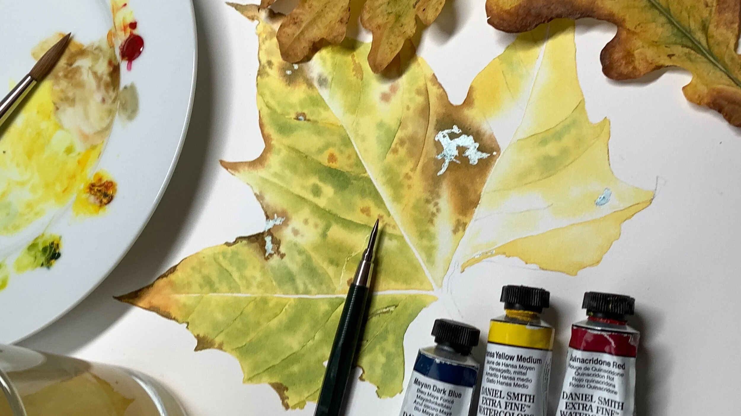 Beyond the Brush - BRINGING FALL LEAVES TO LIFE  with Julia Trickey