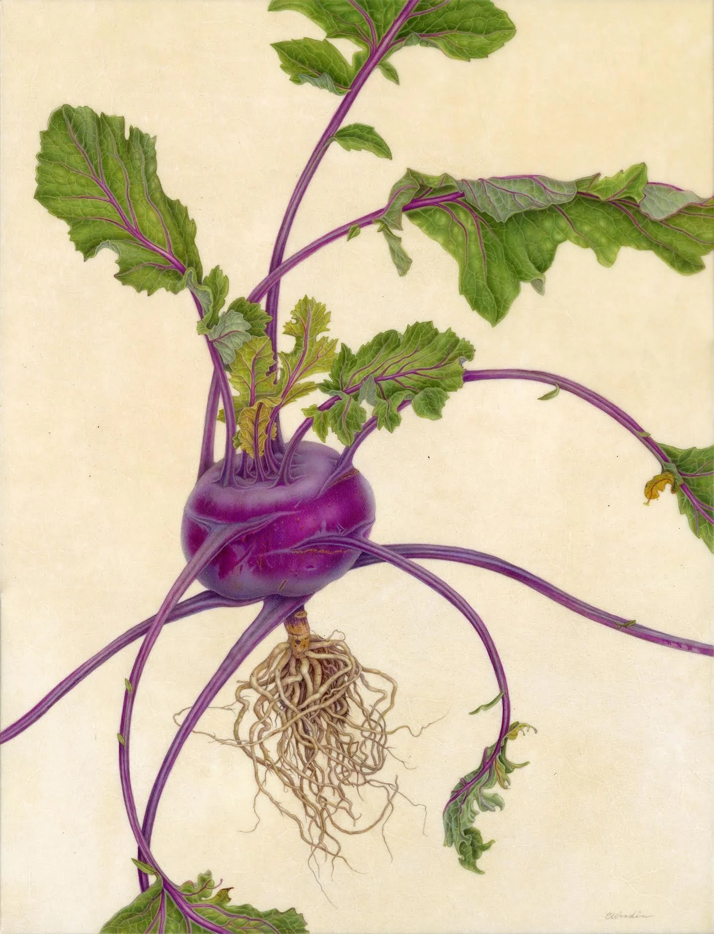 Beyond the Brush with Carol Woodin