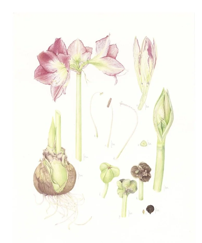 BTB with Rebecca Davies