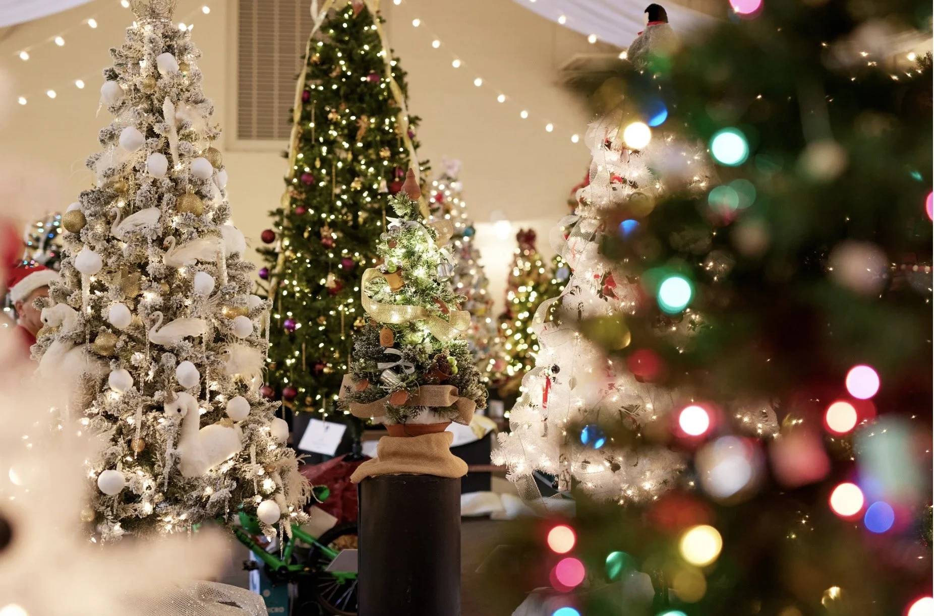 Deadline for Donations to Festival of Trees
