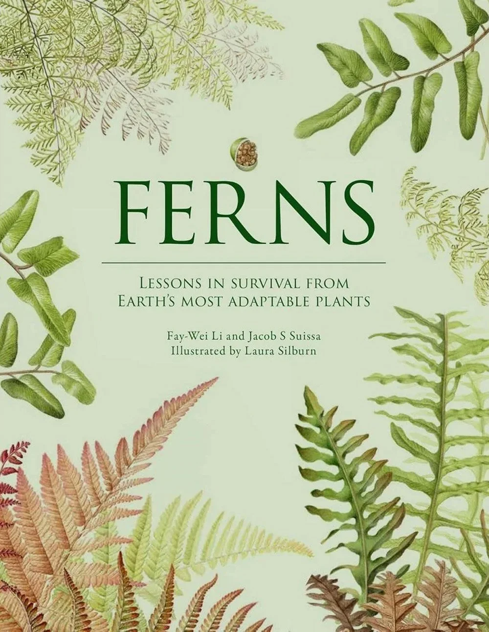 Ferns: Lessons in Survival from Earth’s Most Adaptable Plants