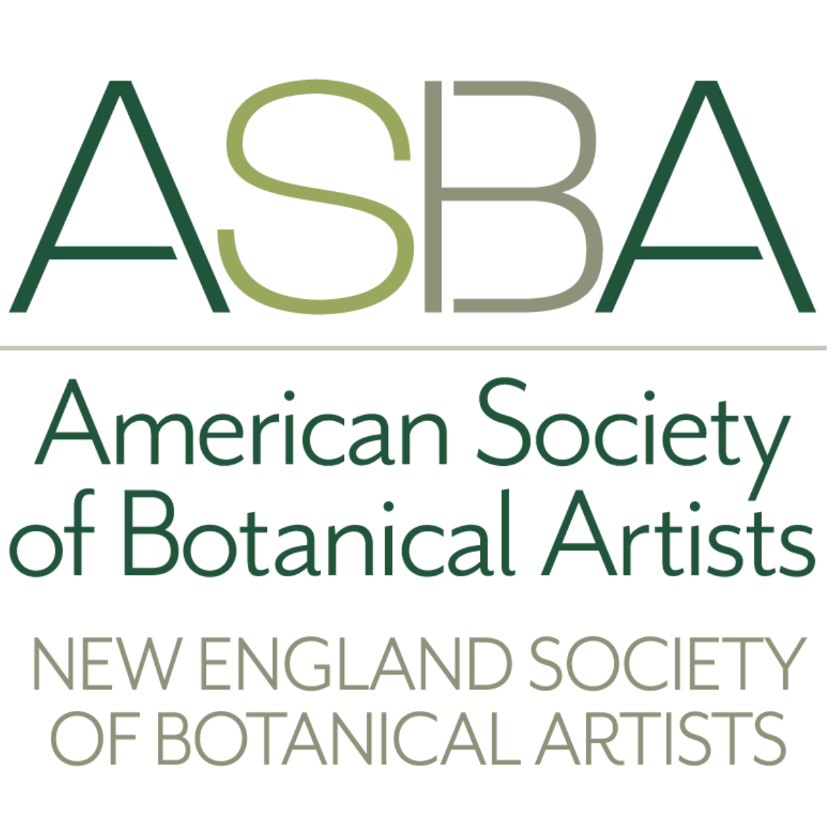 Informational Session on ASBA Conference Video / Slide Show