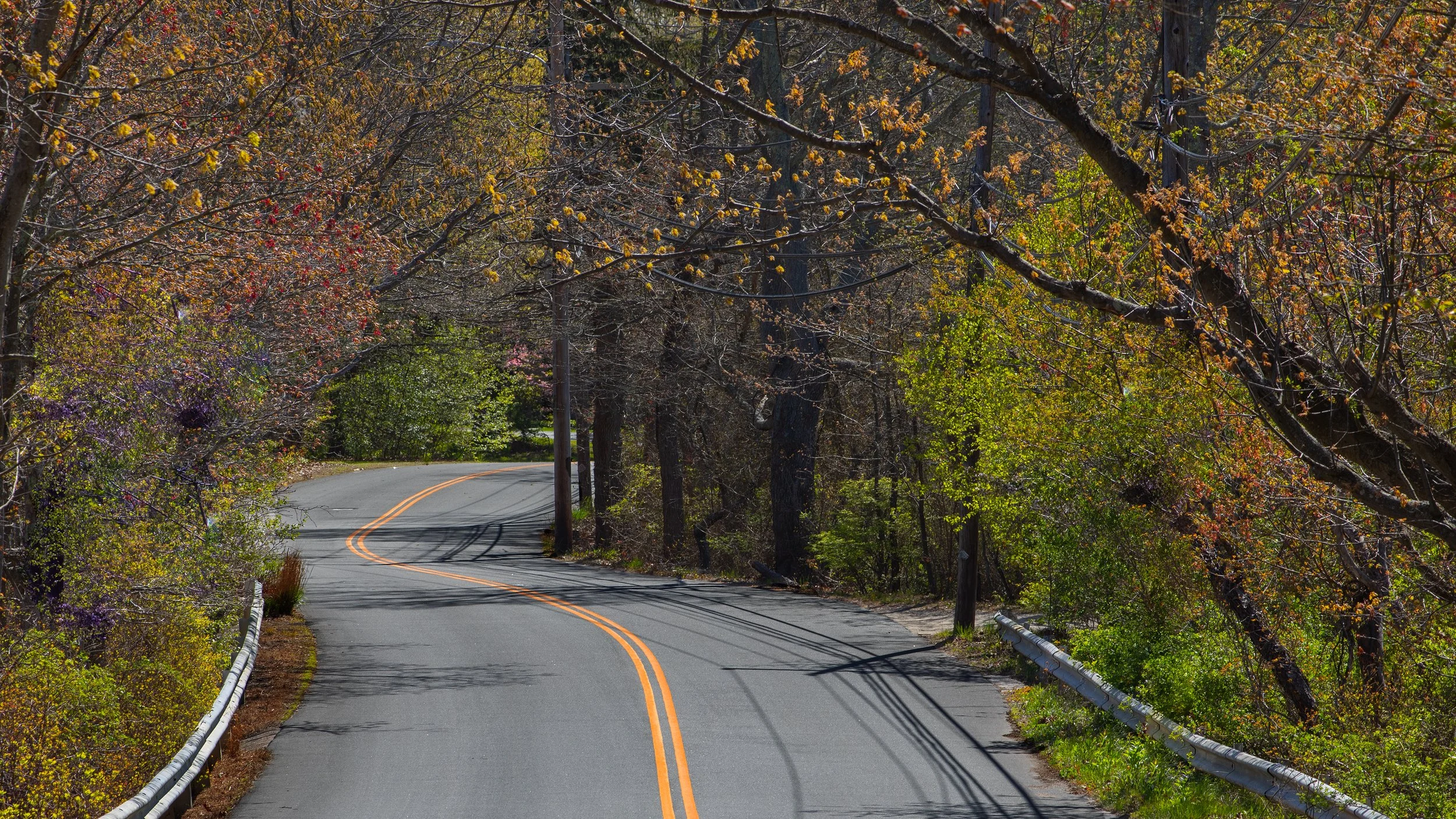 North Lake Road - Spring.jpg
