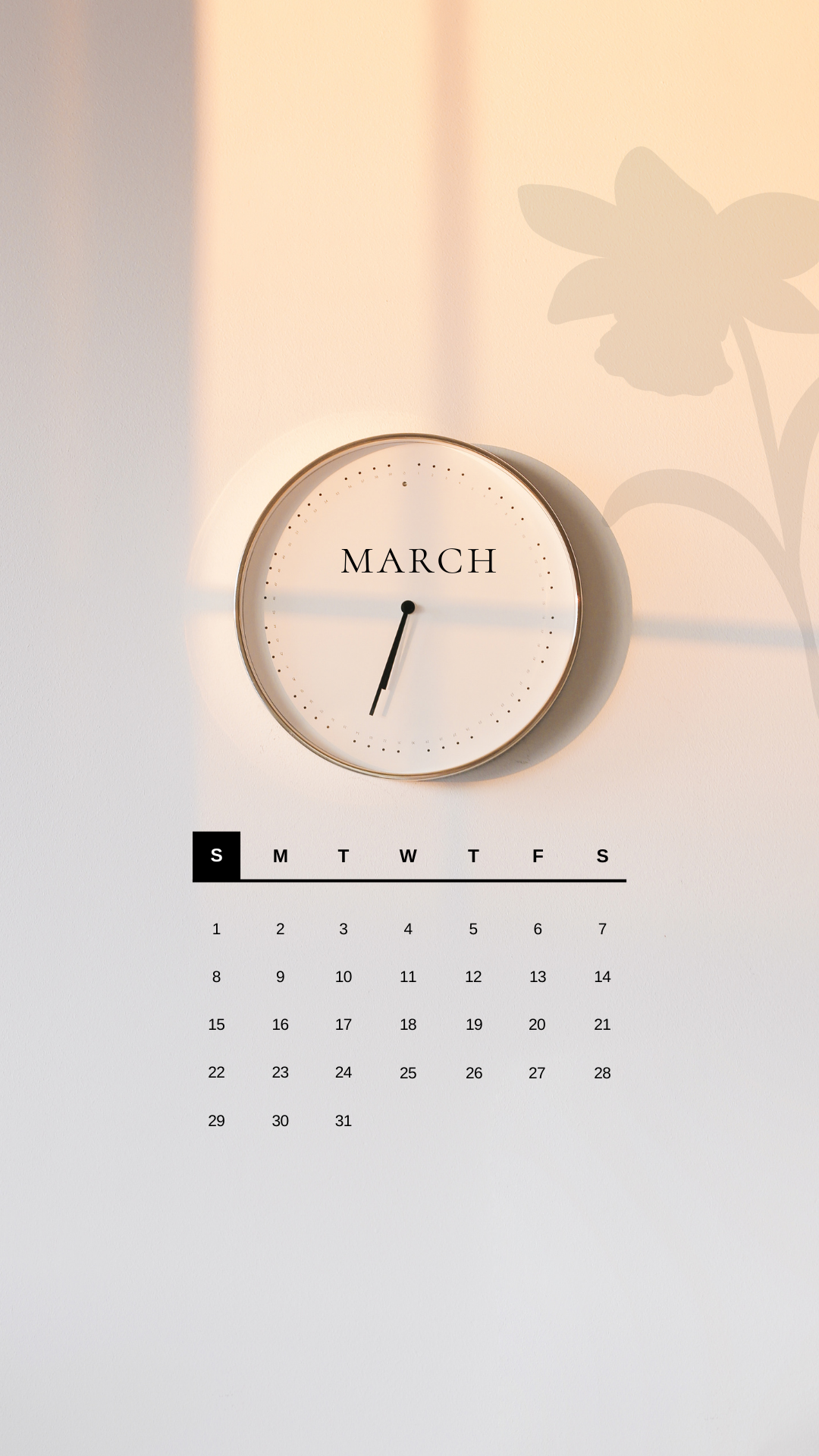 Website Month Pics (12).png