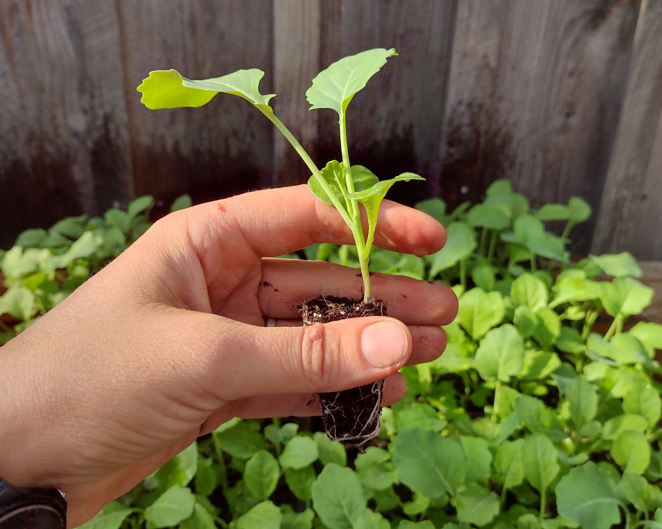 Practical Recordkeeping: An Example