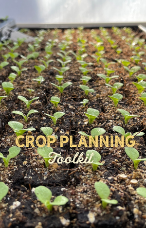 Root Crops Planning Program Table Free Crop Planning Resources — Kat the Farmer