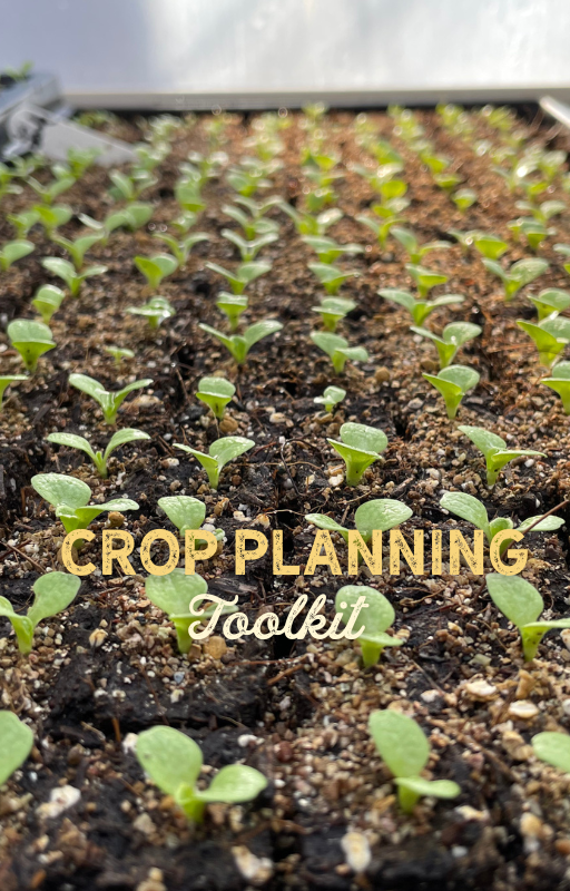 Root Crops Planning Program Table Free Crop Planning Resources — Kat the Farmer