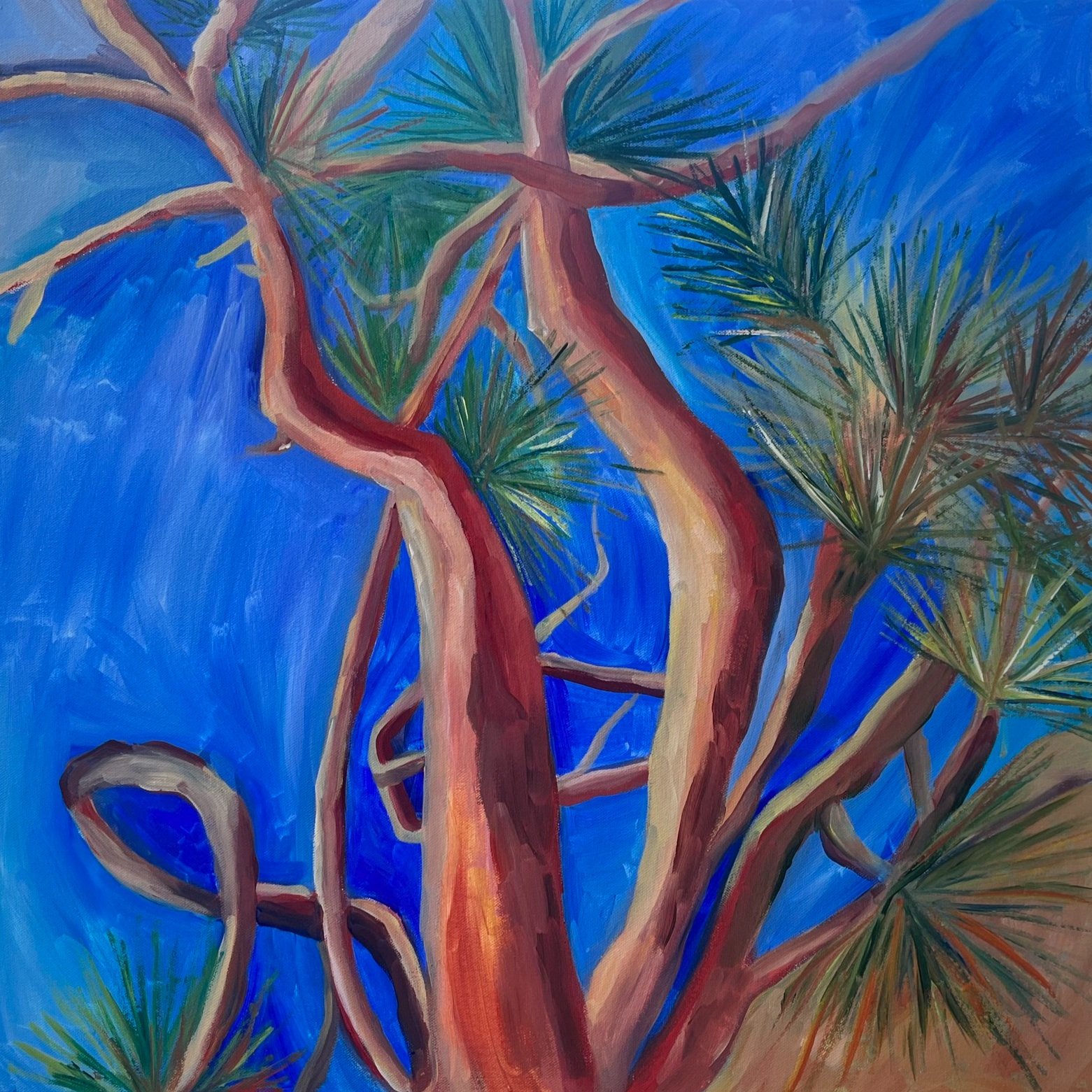 Twisted Pine Delight by Julie Heide Art