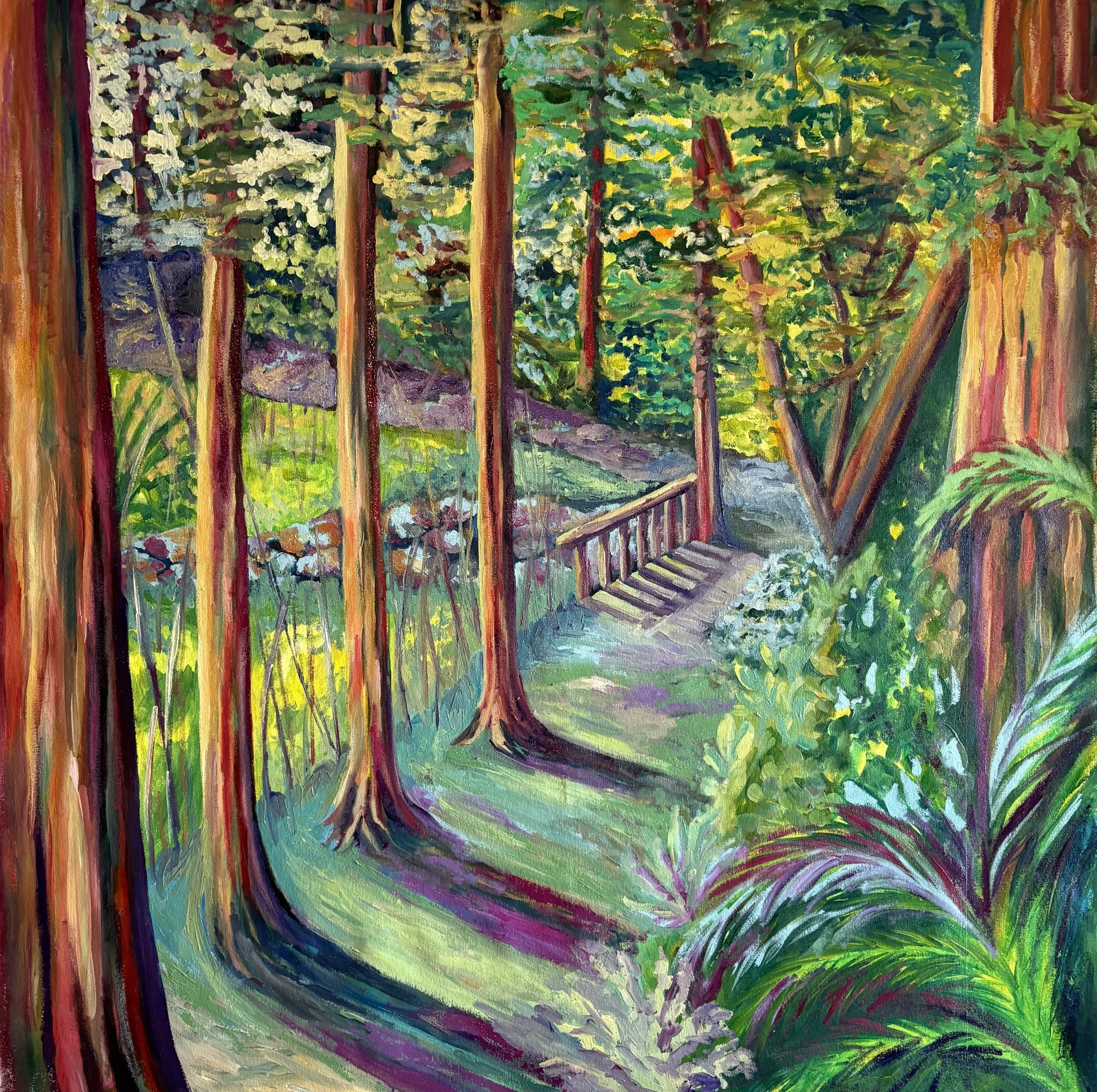 Muir Woods Morning Trail